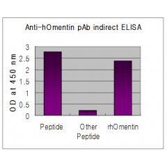 Indirect ELISA of recombinant humen Omentin & synthetic human Nampt peptide (control)  using anti-Omentin (human), pAb (Prod. No. AG-25A-0051) at 1:50,000 dilution.