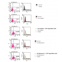 Flow cytometric analysis of CRT on the cell surface 3.105 EL4 Thymoma cells, growing in suspension in RPMI 1640 (Gibco) supplemented medium were plated in 12-well plates and treated with mitomycin C (30mM, Sanofi Aventis) 