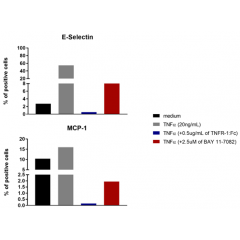 TNF-α, Soluble (human) (rec.)(AG-40B-0074) induces NF-κB dependent genes. Methods: Endothelial cells (HUVEC) are incubated for 1h in the presence of BAY 11-7082 (AG-CR1-0013) and then treated with TNFα (20ng/ml) (red bar) or incub