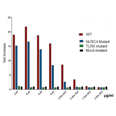 Flagellin (rec.) (AG-40B-0125) and Flagellin (NLRC4 Mutant) (rec.) (AG-40B-0126) induce CCL20-luciferase promoter through TLR5 in vitro. Method: Caco-2 cells transfected with plasmid encoding CCL20-LUC plasmid are activated for 24h wit