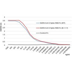 SARS-CoV-2 Spike Protein S1 (RBD):Fc (human) (rec.) (B.1.1.7 Variant, Alpha)