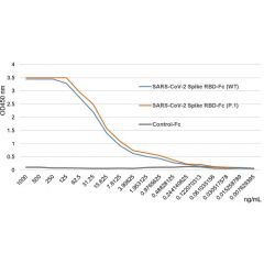 SARS-CoV-2 Spike Protein S1 (RBD):Fc (human) (rec.) (P.1 Variant, Gamma)