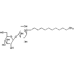 n-Dodecyl-α-D-maltoside (ultrapure)