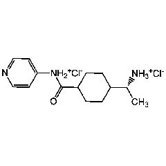 Y-27632 . dihydrochloride