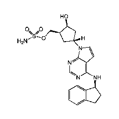 MLN4924 [NAE Inhibitor] Solution