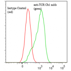 anti-TCR Cβ1 (human), mAb (Jovi-1)