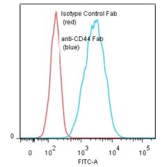 anti-CD44 (human), mAb (BU52) (Fab)