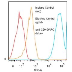 anti-CD40 (human), mAb (EA-5) (APC)