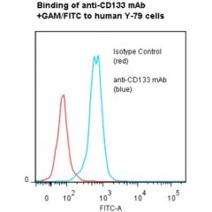 anti-CD133 (human), mAb (ANC9C5)