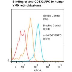 anti-CD133 (human), mAb (ANC9C5) (APC)