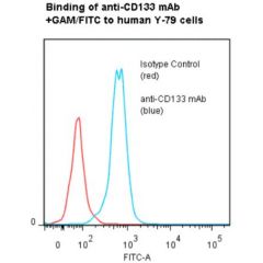 anti-CD133 (human), mAb (ANC9C5) (preservative free) 