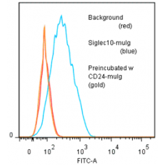 CD24 (human)-muIg Fusion Protein (preservative free)