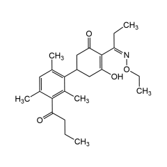 Butroxydim Solution