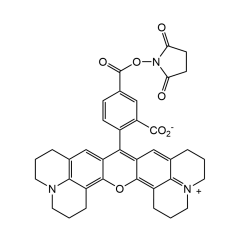 5-ROX N-succinimidyl ester