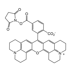 6-ROX N-succinimidyl ester