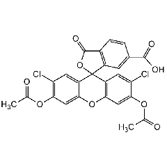 6-Carboxy-2',7'-dichlorofluorescein DA