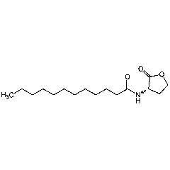 N-Dodecanoyl-L-homoserine lactone