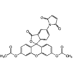 Fluorescein diacetate 5-maleimide