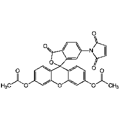 Fluorescein diacetate 6-maleimide