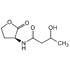 3-Hydroxy-butanoyl-L-homoserine lactone