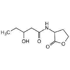 3-Hydroxy-pentanoyl-DL-homoserine lactone
