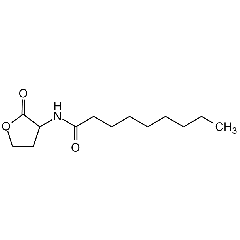 N-Nonanoyl-DL-homoserine lactone