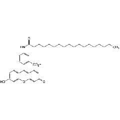 5-(Octadecanoylamino)fluorescein