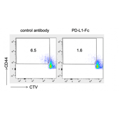 CD274 [B7-H1/PD-L1] (mouse):Fc (mouse) (rec.)