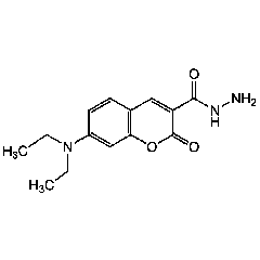 7-(Diethylamino)coumarin-3-carbohydrazide