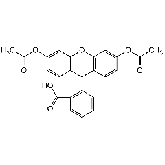 Dihydrofluorescein diacetate