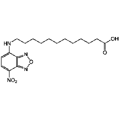 NBD-dodecanoic acid