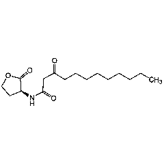 N-(3-Oxododecanoyl)-L-homoserine lactone