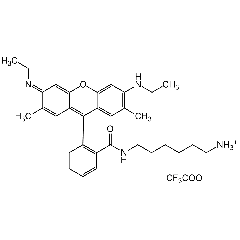 N-(6-Aminohexyl)rhodamine 6G-amide bis(trifluoroacetate)