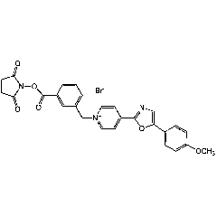 N-(3-Succinimidyloxy-carbonyl-phenyl)-methyl-4-(5'-(4''-methoxy-phenyl)-2'-oxazolyl)-pyridinium bromide