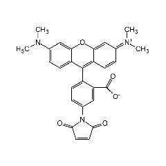Tetramethylrhodamine-5-maleimide