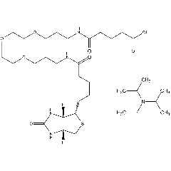 N-Biotinyl-NH-(PEG)2-COOH . DIPEA
