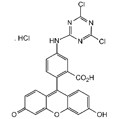 5-DTAF hydrochloride
