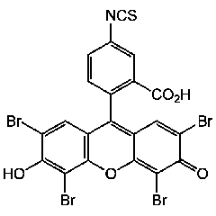 Eosin-5-isothiocyanate