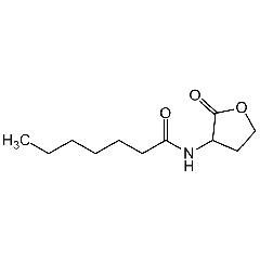 N-Heptanoyl-DL-homoserine lactone