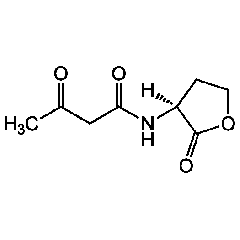 N-(3-Oxobutanoyl)-L-homoserine lactone