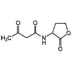 N-(3-Oxobutanoyl)-DL-homoserine lactone