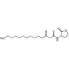N-(3-Oxotetradecanoyl)-DL-homoserine lactone
