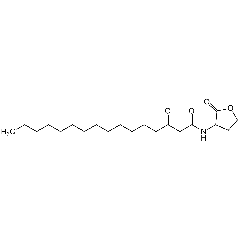 N-(3-Oxohexadecanoyl)-DL-homoserine lactone