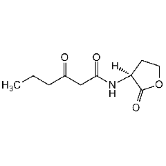 N-(3-Oxohexanoyl)-L-homoserine lactone