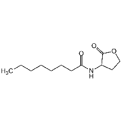 N-Octanyol-DL-homoserine lactone