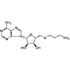 S-(5')-Adenosyl-3-thiopropylamine