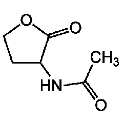 N-Ethanoyl-DL-homoserine lactone