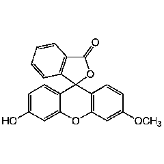 3'-O-Methylfluorescein