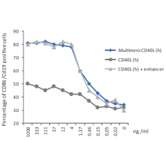 CD40L (human) (multimeric) (rec.) (Prod. No. AG-40B-0010) does not need an enhancer to induce B cells activation.  Method: PBL cells  were incubated in 96-well plates (2x105 cells/well in 100μl RPMI supplemented with 10% FCS) fo