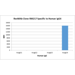 Immunohistochemistry of Human Lymphoid Tissue using Anti-Human IgG4 antibody RM120.